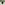 Load image into Gallery viewer, Coast Guard Seal Youth Left Chest Hood