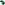 Load image into Gallery viewer, Coast Guard Seal Shamrock Hat