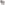 Load image into Gallery viewer, Under Armour Freedom Military Eagle T-Shirt (Sand)