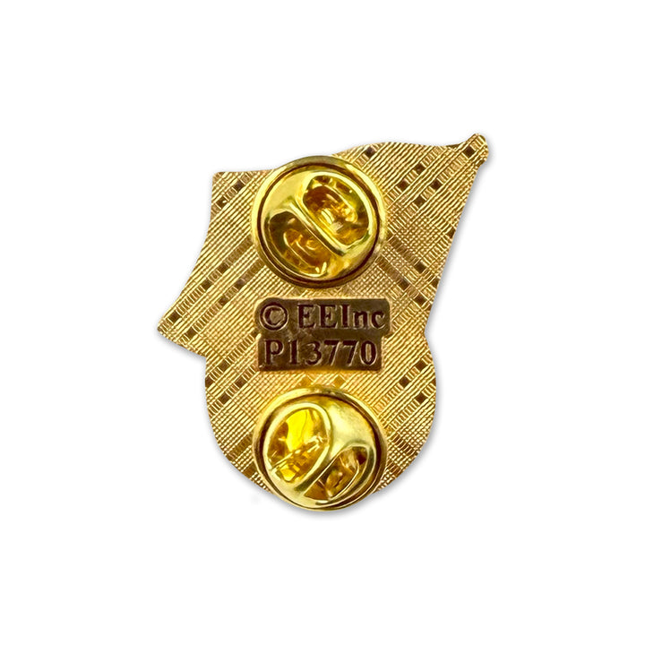 United States Coast Guard Seal/USA Flag Lapel Pin