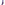 Load image into Gallery viewer, Coast Guard Seal Dress Argyle Socks