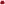 Load image into Gallery viewer, Coast Guard Youth Seal Logo Mesh Shorts