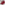 Load image into Gallery viewer, Coast Guard Seal Veteran Twill Hat (Red)