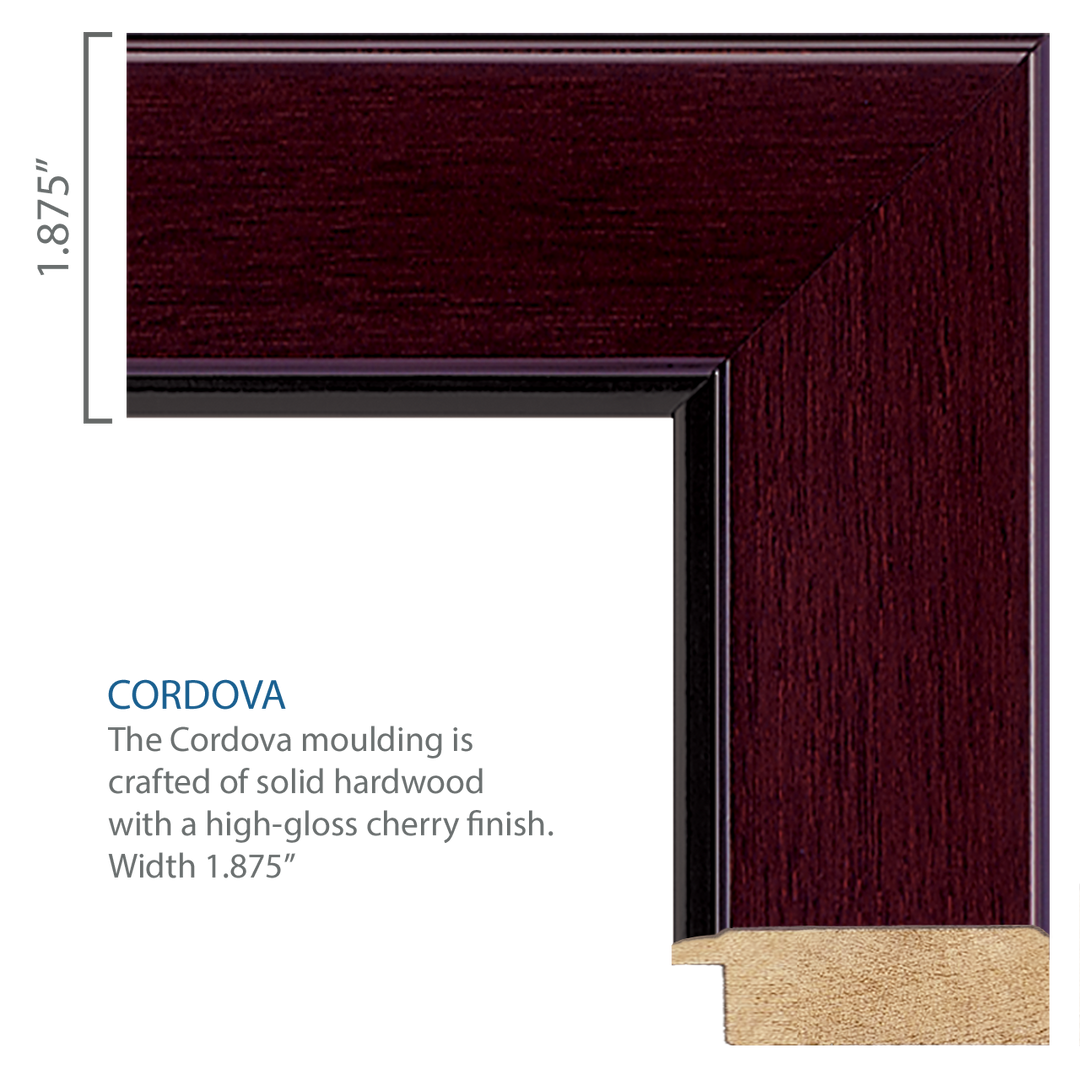 U.S. Coast Guard Century Gold Engraved Certificate Frame (Horizontal)*