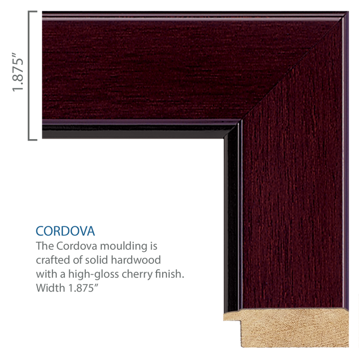 U.S. Coast Guard Century Gold Engraved Certificate Frame (Horizontal)*