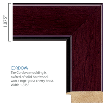 Load image into Gallery viewer, U.S. Coast Guard Century Gold Engraved Certificate Frame (Horizontal)*