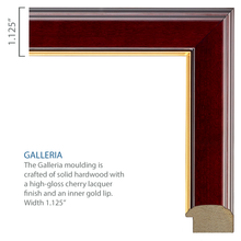 Load image into Gallery viewer, U.S. Coast Guard Photo and Honorable Discharge Certificate Frame (11x8.5)*